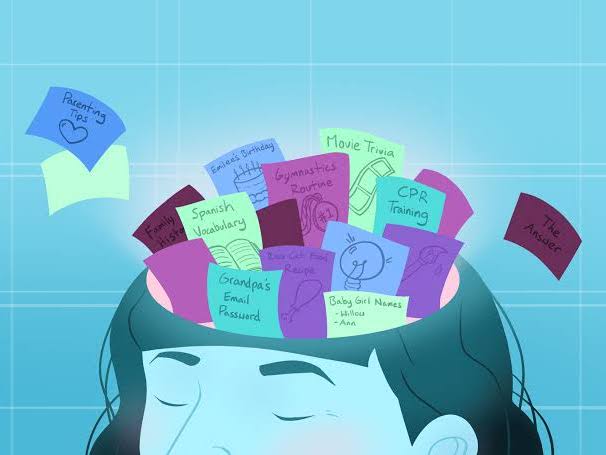 AQA A Level Psychology (2025 Spec) – Complete Memory Topic | 15 Full Lessons | Year 12