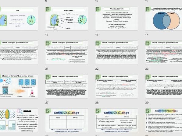 PPT - B1 Cells & Transport/ Full Version/ Biology Exam Revision/ AQA / GCSE
