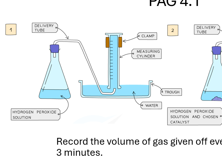 Complete A-Level Biology Lesson: PAG 4.1 The Effect of Substrate Concentration on the Rate of Enzyme