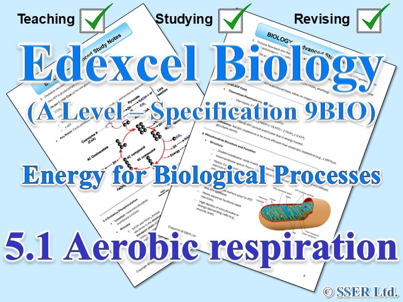 BIOA_EDX Topic Notes: 5.1 Aerobic respiration