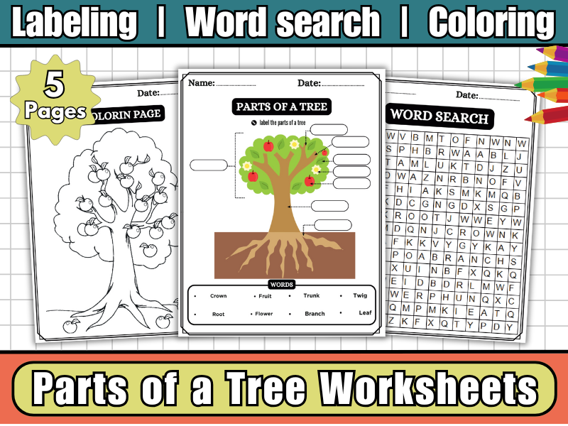 Parts of a Tree-Labeling Worksheets, Coloring Page & Word Search-Tree Anatomy Activity for Kids