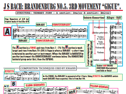 Bach Brandenburg Facts and Activity