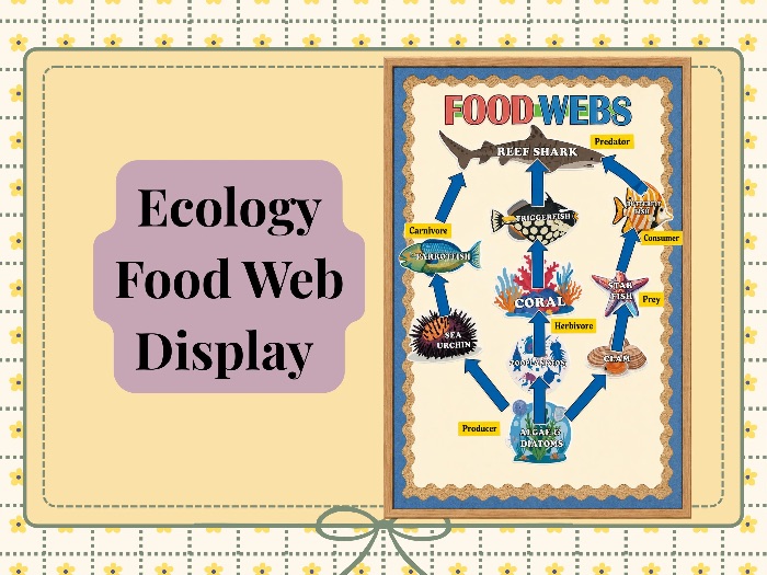 Food Web Display Digital pack