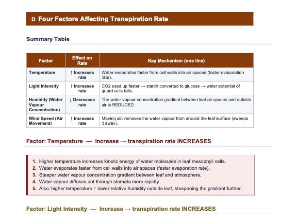Chapter 8: Transport in Plants — Exam-focused Complete Revision Guide — Cambridge IGCSE Biology 0610