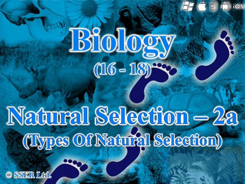 BioA_3.4.4 Natural Selection 2a - Types