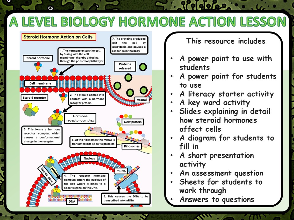 A Level Biology Hormone Action on Cells Lesson & Activities