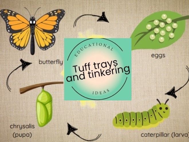 Lifecycles word mats