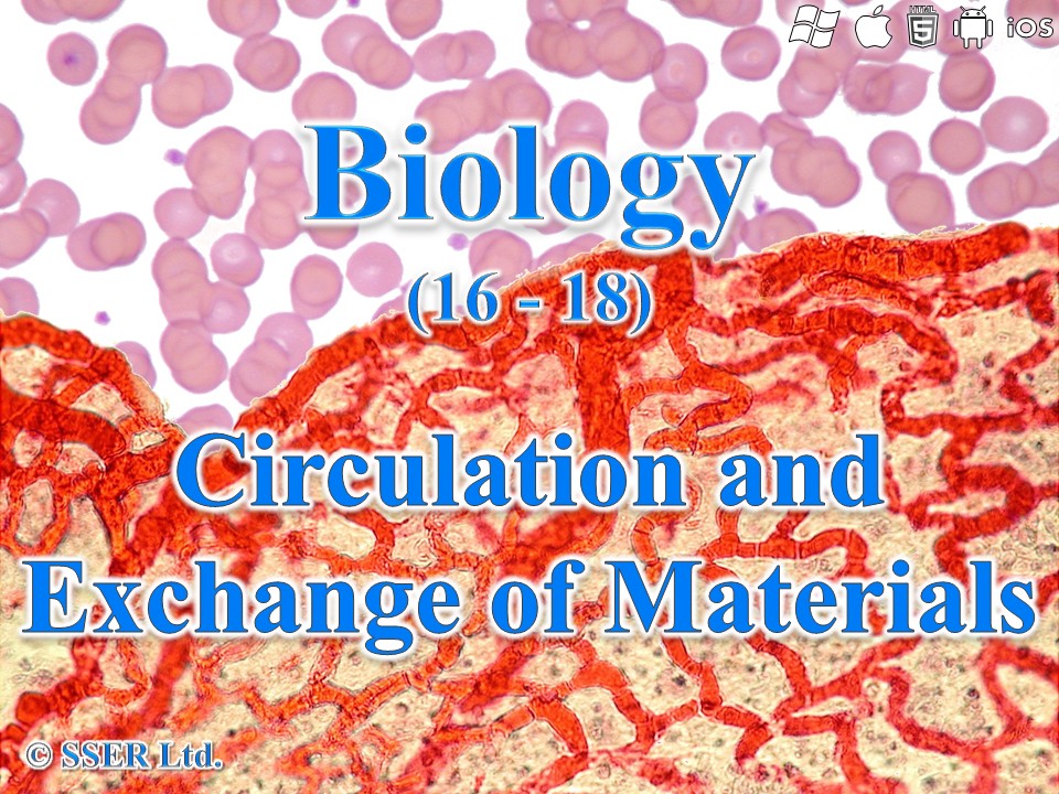 BioA_3.3.4.1 Circulation & Exchange