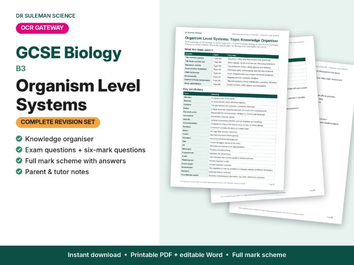 OCR Gateway GCSE Biology B3 Organism Level Systems Revision