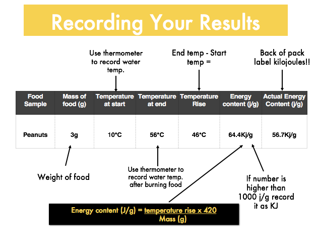 Energy content of food - Energy balance