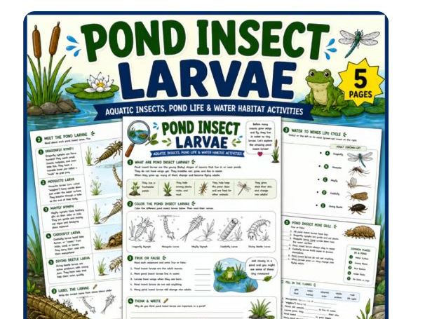 Pond Insect Larvae Worksheet Pack | Aquatic Insects, Pond Life & Water Habitat