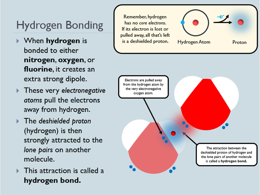 Intermolecular Forces (Animated Chemistry PowerPoint)