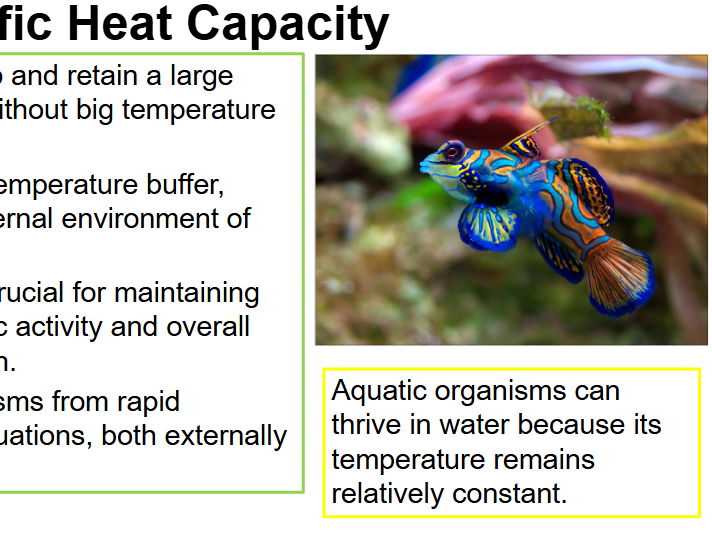 AS Biology - Water - Edexcel B - Exam Questions