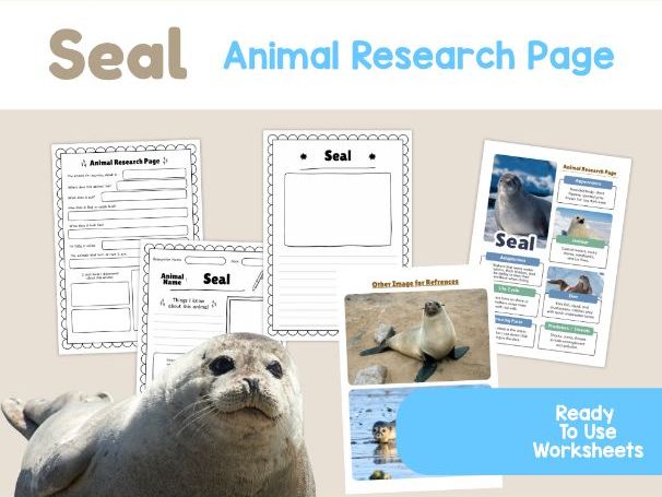 Seal Worksheets | Ocean Habitat, Blubber and Animal Adaptations