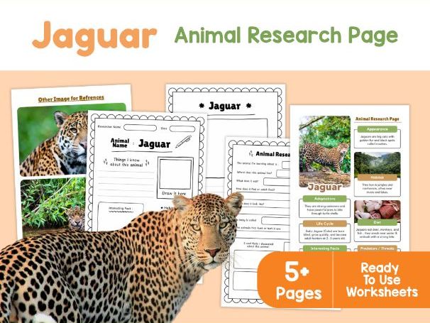 Jaguar Worksheets | Rainforest Animal Habitat, Diet and Adaptations