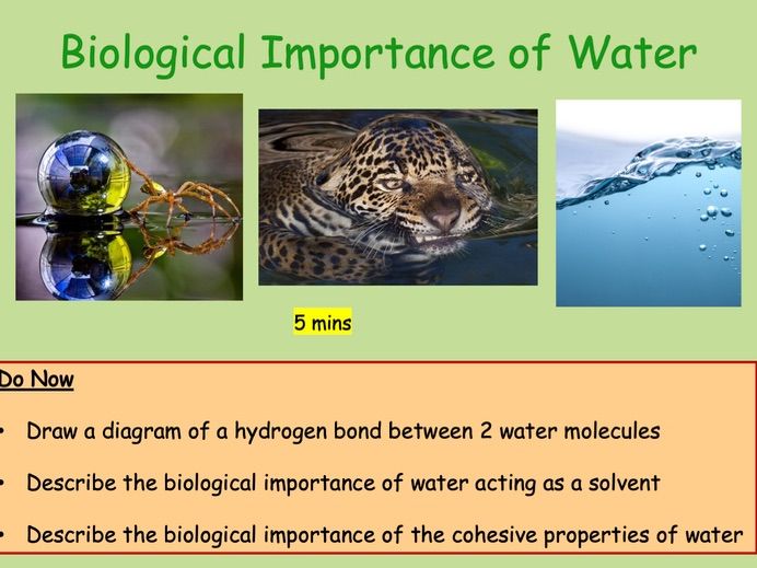 Edexcel IAL Biology Topic 1A -  Lesson 2 - Biological Importance of Water