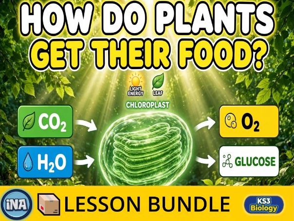 Plant Nutrition - Complete KS3 Biology Lesson Pack