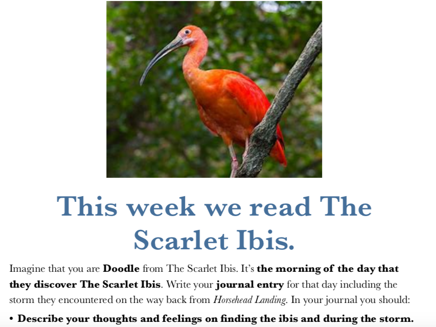 IGCSE English Paper 1 Q3 Practise - The Scarlet Ibis