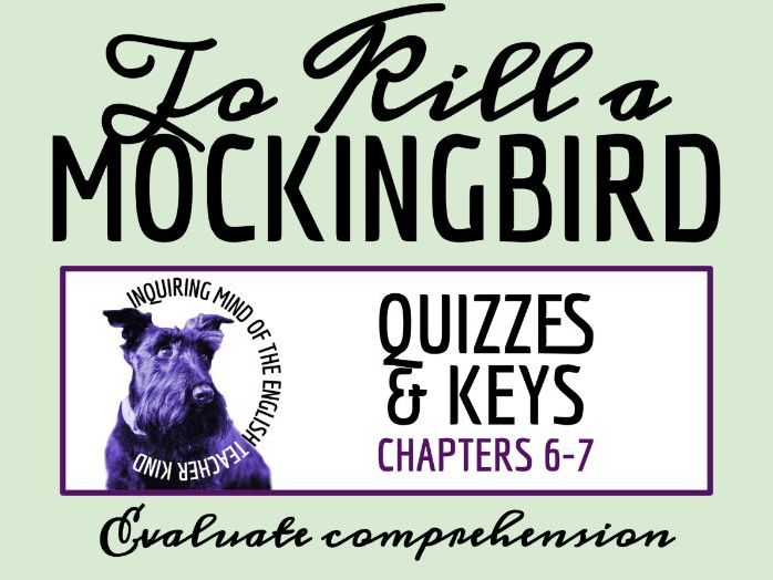 To Kill a Mockingbird Chapters 6 and 7 Quiz and Answer Key | Independent Reading Worksheet