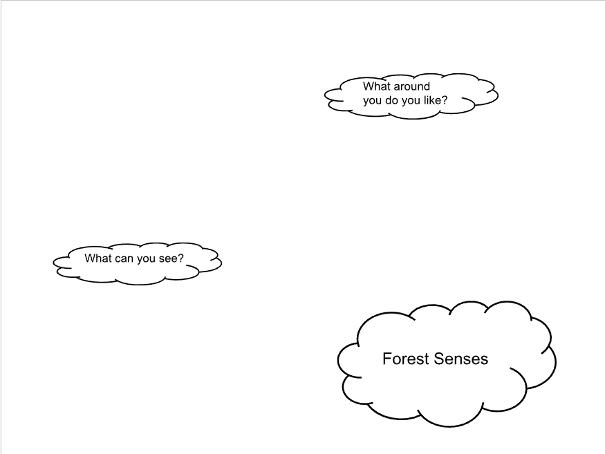 KS2 woodland sensory audit