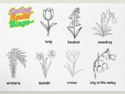 Spring Flower Bingo