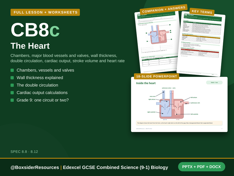 CB8c The Heart | Edexcel GCSE Combined Science (9-1) | Lesson + Worksheet