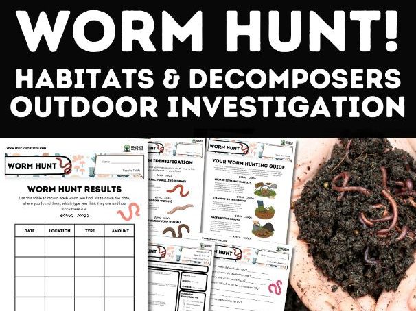 Worm Identification Outdoor Science Activity | Habitats & Ecosystems | KS1–KS2