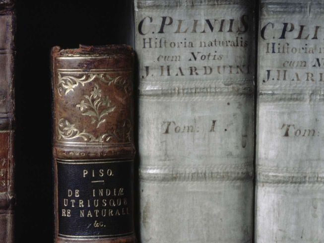 Introduction to 19th Century texts SoW