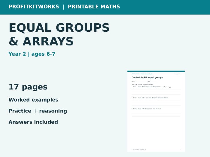 Year 2 Equal Groups and Arrays: Build and Explain