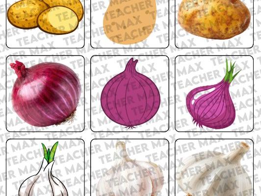 DTT & VB-MAPP Vegetable Vocabulary Cards