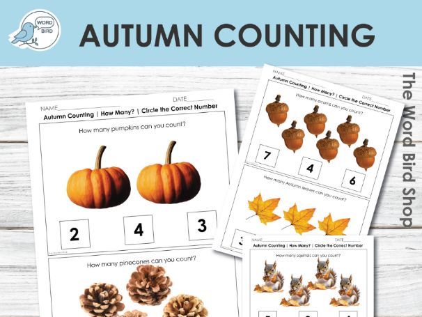 Autumn Counting Worksheets with Real Photos  Circle the Number Preschool & Special Education