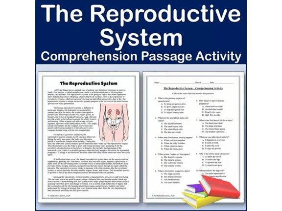 The Reproductive System - Biology Reading Comp Passage & Activity | Editable