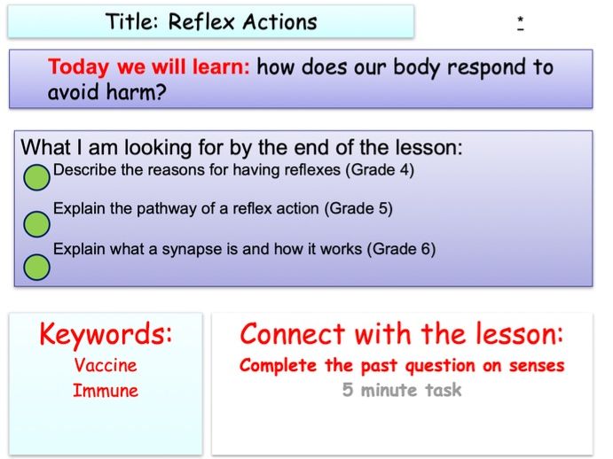 Reflex Arc - Reflex Action GCSE