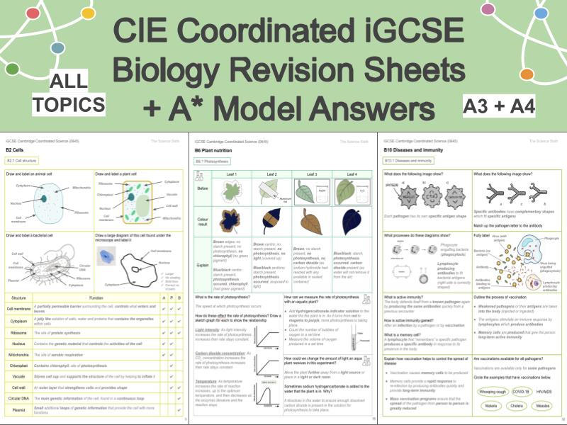 Coordinated Biology - Revision Review Worksheets AND A* Exam Question Answers - Cambridge IGCSE 0654