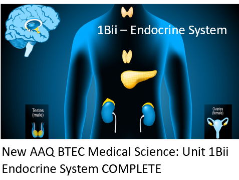 NEW: AAQ BTEC Medical Science Unit 1Bii Endocrine System COMPLETE