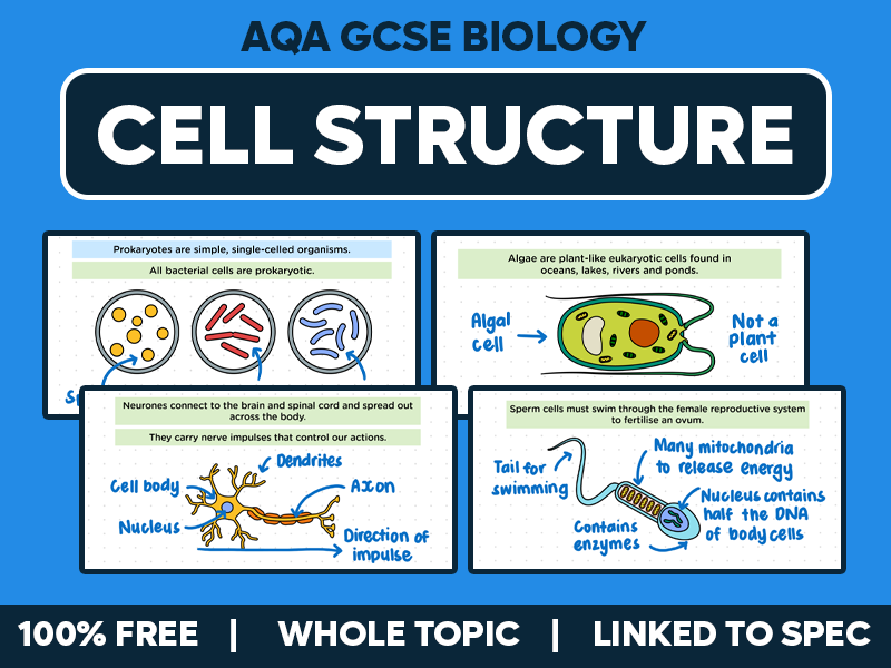 GCSE AQA Biology Lessons - Cell Structure - Whole Topic Pack