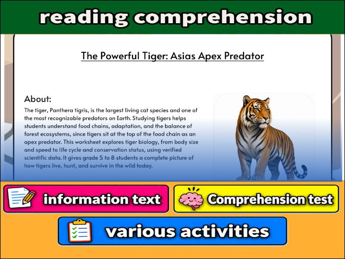 The Powerful Tiger: Asias Apex Predator - zoology & Activities