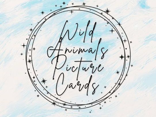 Wild Animals Picture Cards