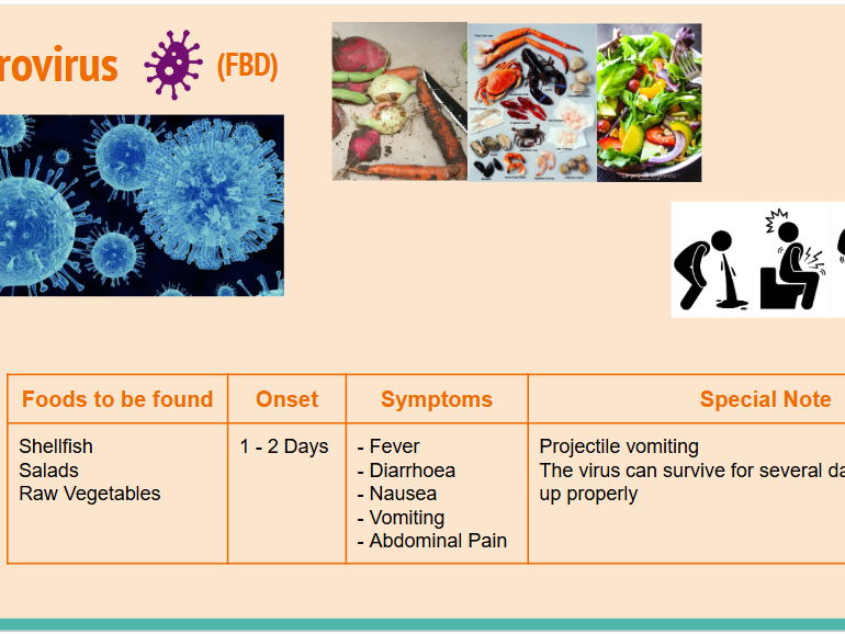 GCSE Food Prep & Nutrition: Bacterial Contamination