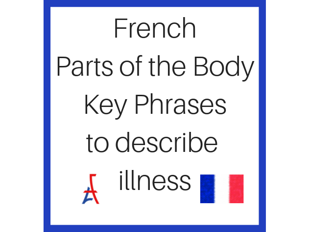 Handy French Phrases for Health - Parts of the Body