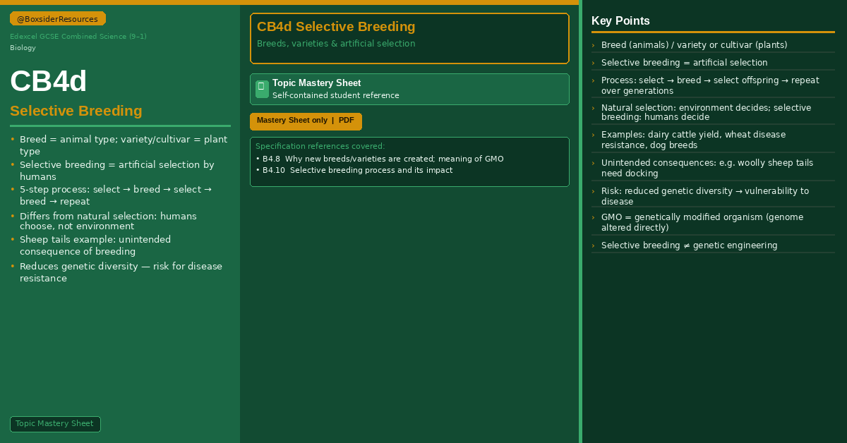 docx, 10.13 KB
