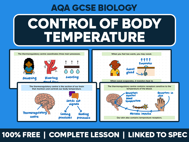 GCSE AQA Biology Complete Lesson - Control of Body Temperature