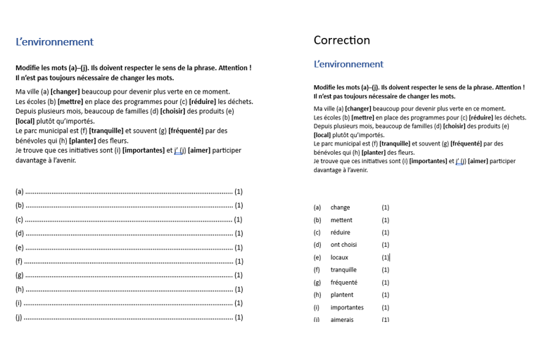 EDEXEL French IGCSE Grammar task Bundle: tenses, adjectival agreements
