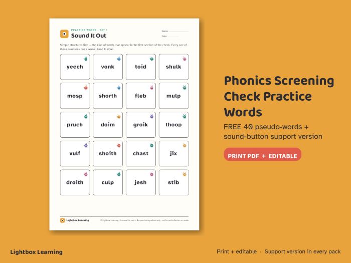 Phonics Screening Check Practice — 40 Pseudo Words FREE (Year 1)