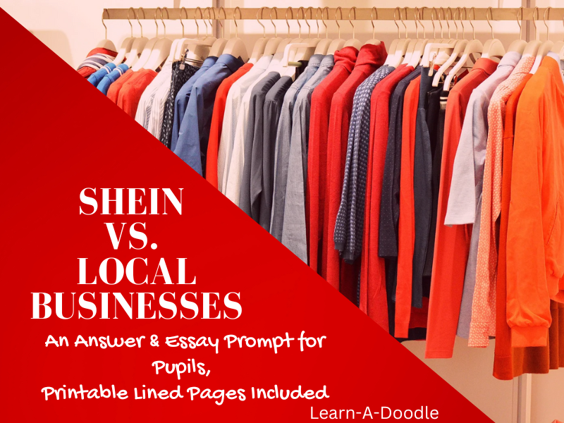 SHEIN vs. Local Businesses: Is It A Fair Competition? An Answer & Essay Prompt
