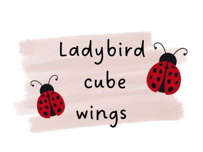 Ladybird Cube Wings