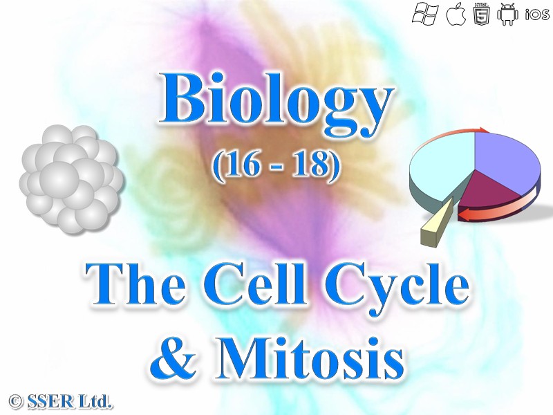 BioA_3.2.2 Mitosis and Cell Cycle