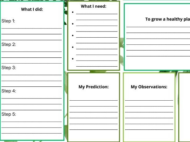 Plant Observations Worksheet