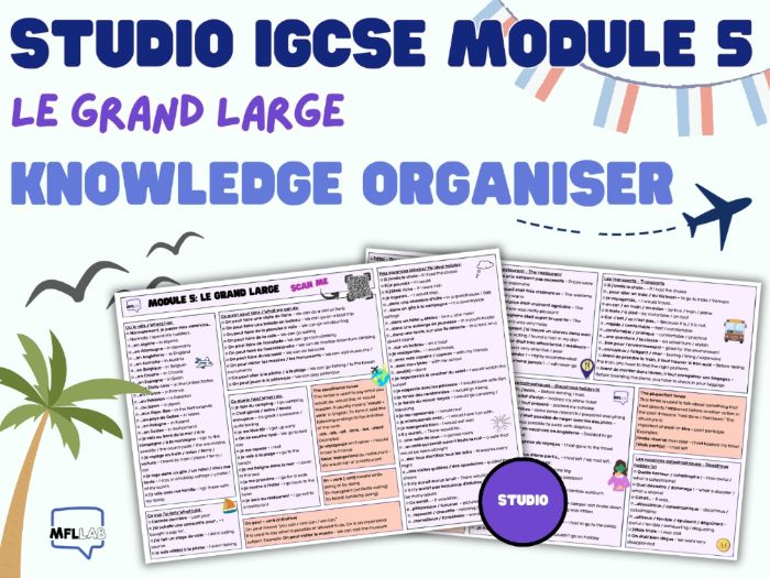 IGCSE Studio French Revisions Knowledge Organiser - Module 5: LE GRAND LARGE