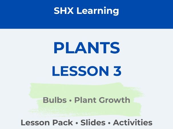 Year 2 Science: Plants | Lesson 3 | How Bulbs Grow into Plants